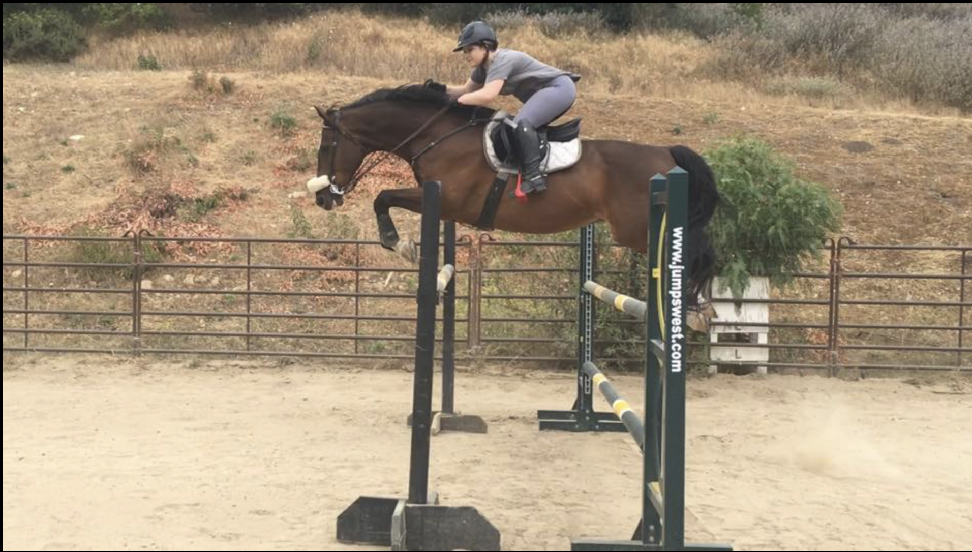 Screenshot 2026-03-03 at 9.04.28 AM.png