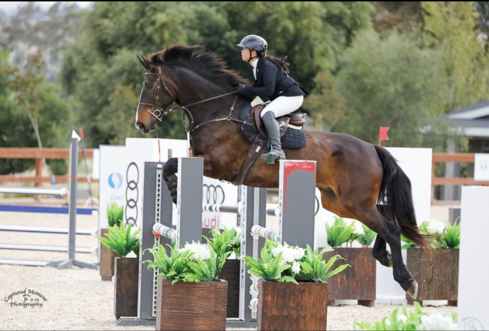 Screenshot 2026-03-03 at 9.01.44 AM.png