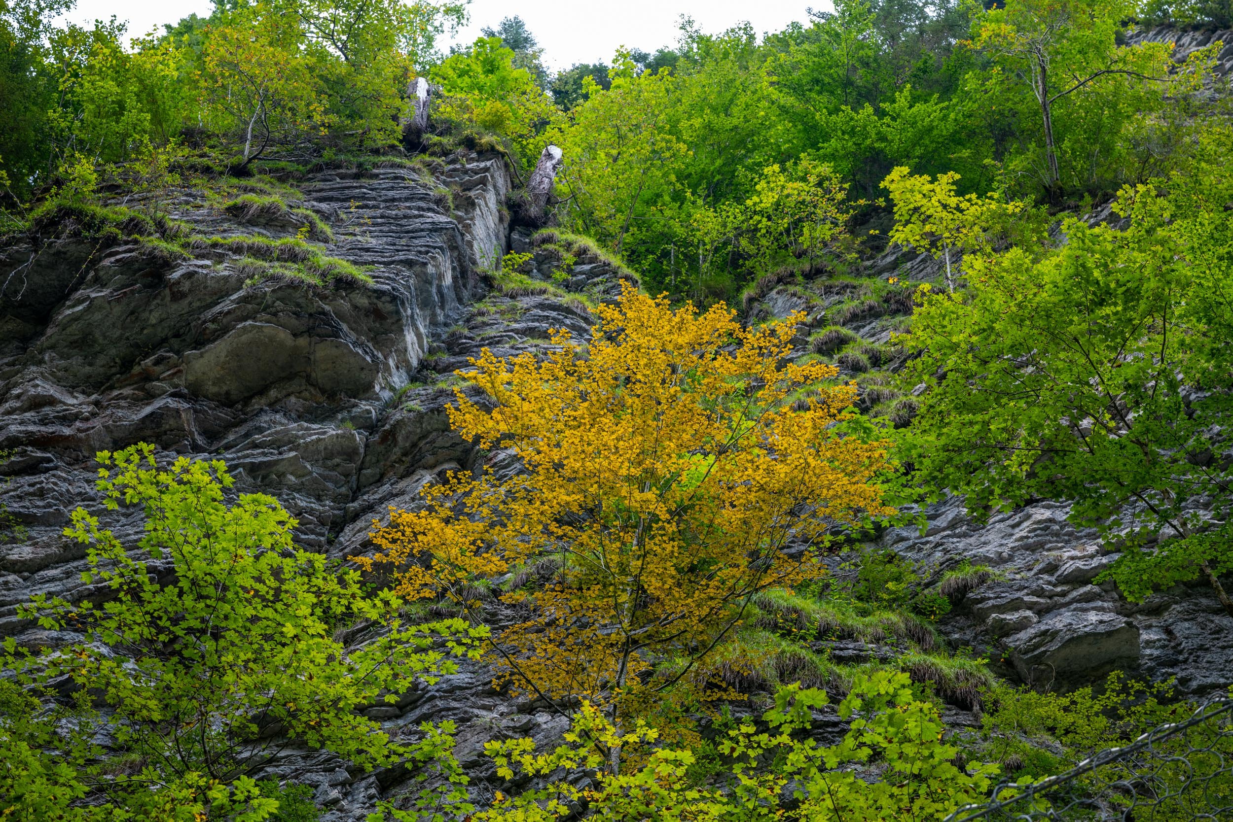 L1012298.jpg