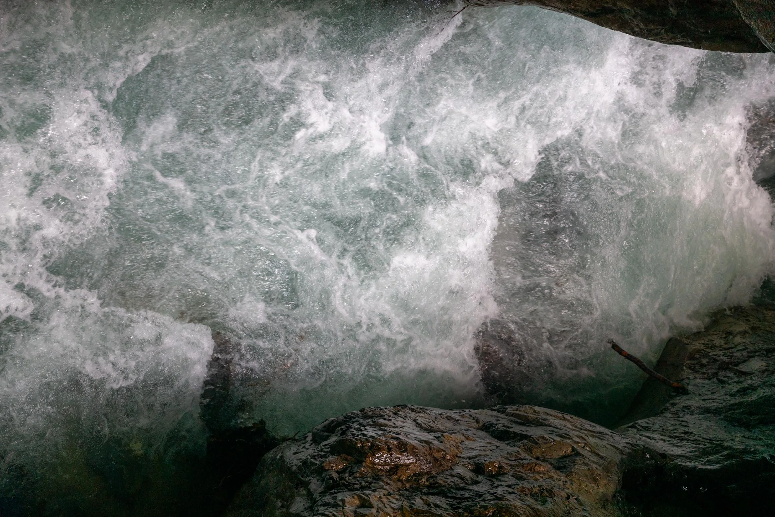 L1012319.jpg