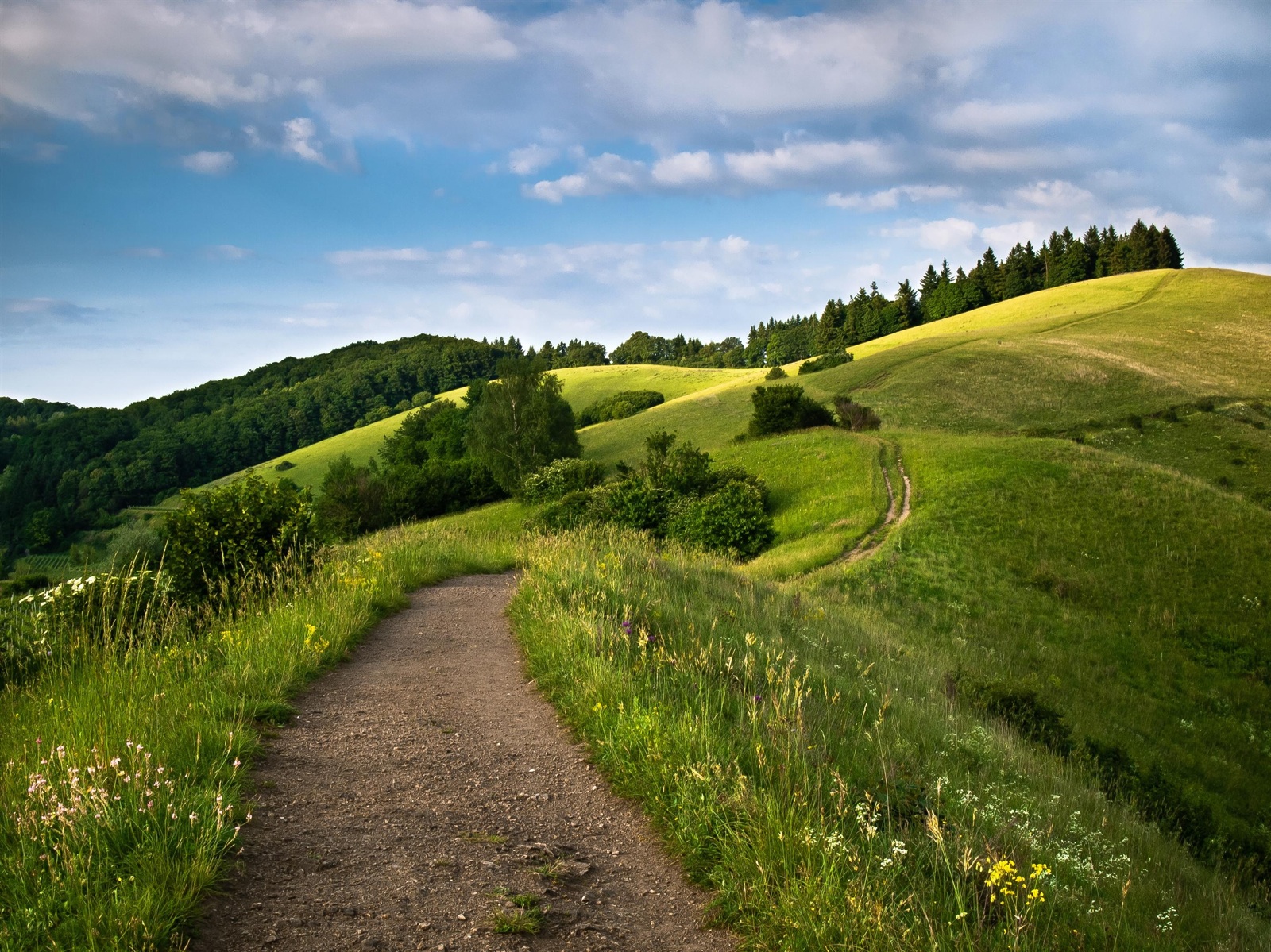 coloradotrail.jpeg