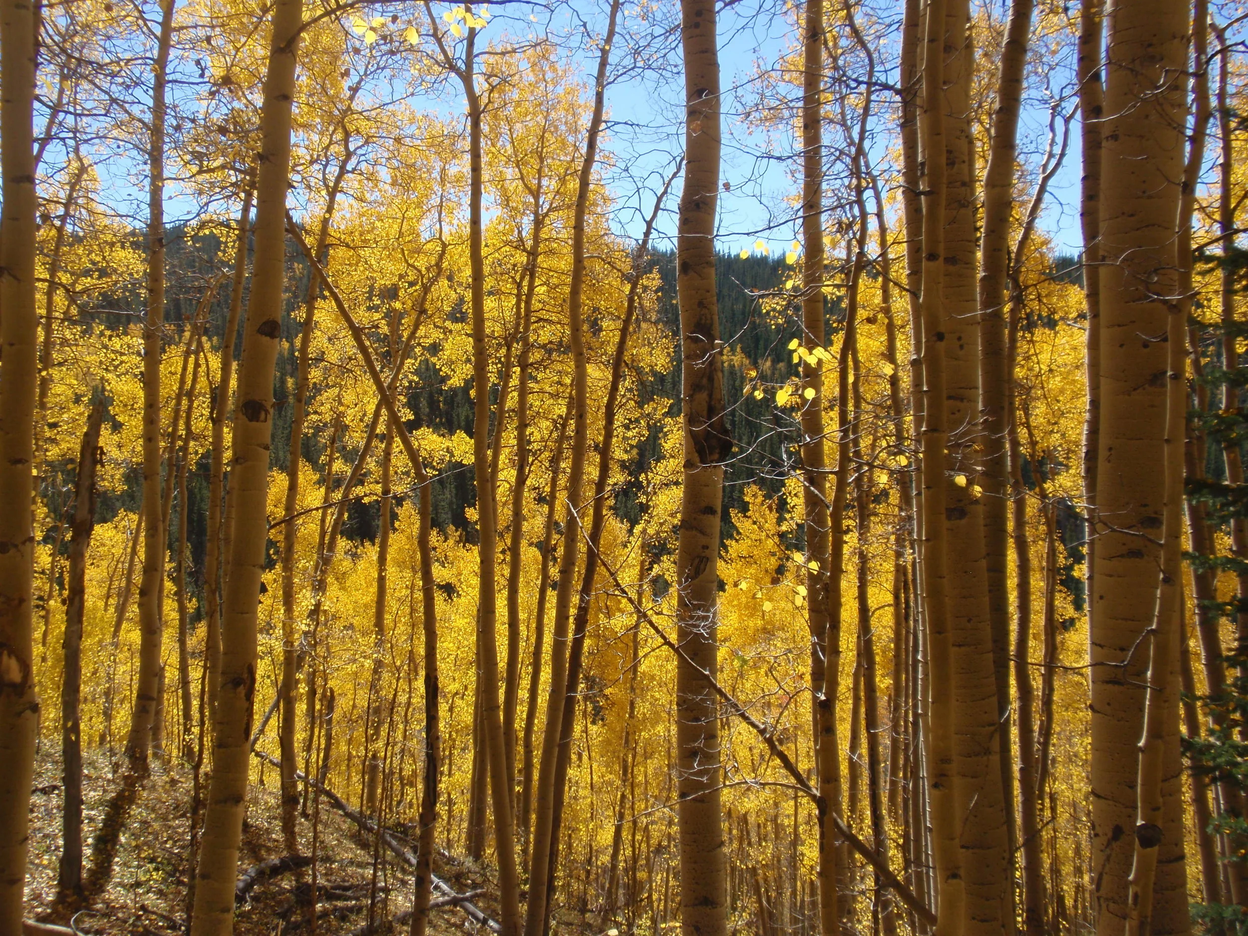 Kenosha Pass 9 Sep 2011.JPG