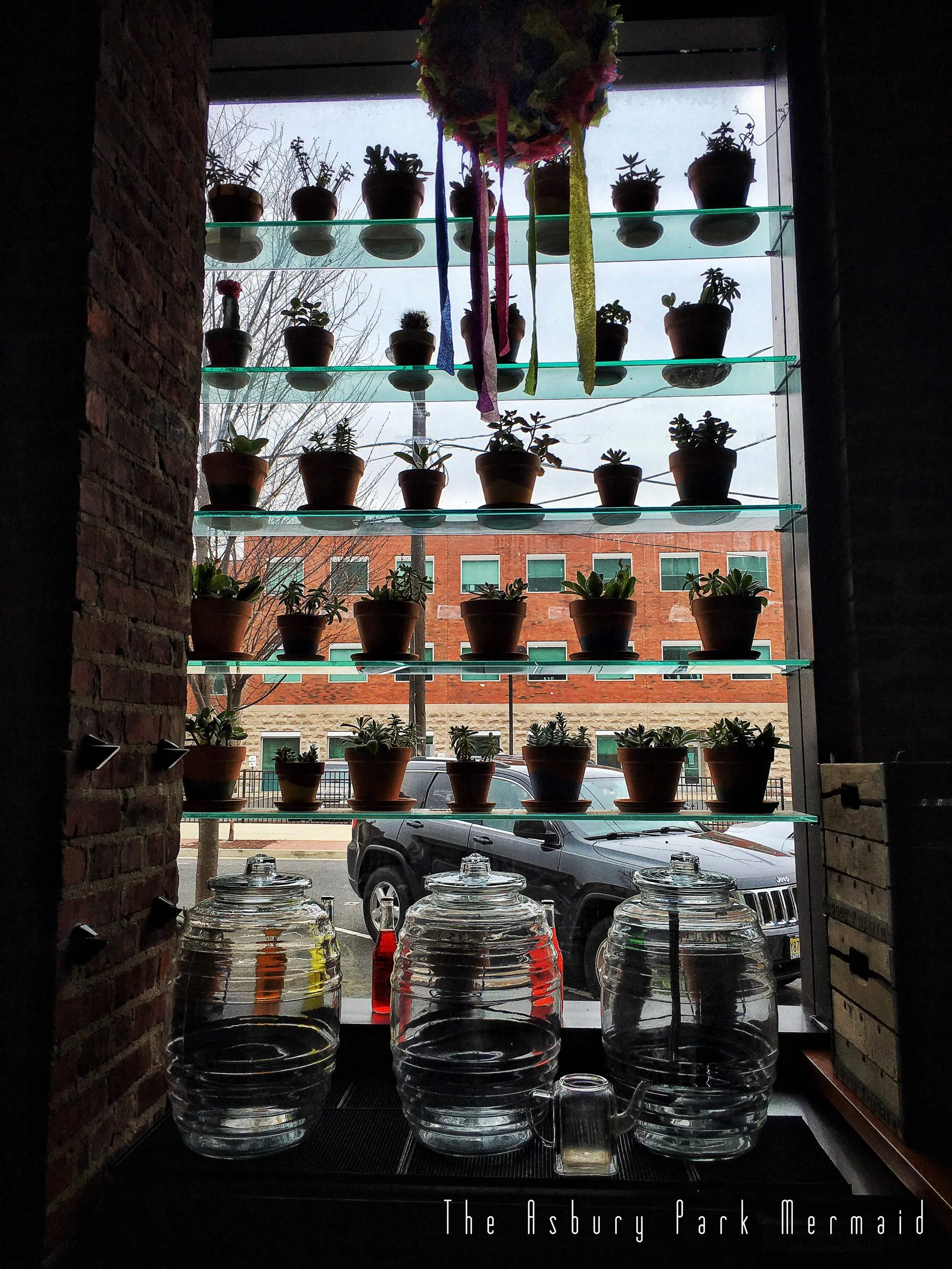 A Sneak Peek Into Capitoline & Loteria, Part 1