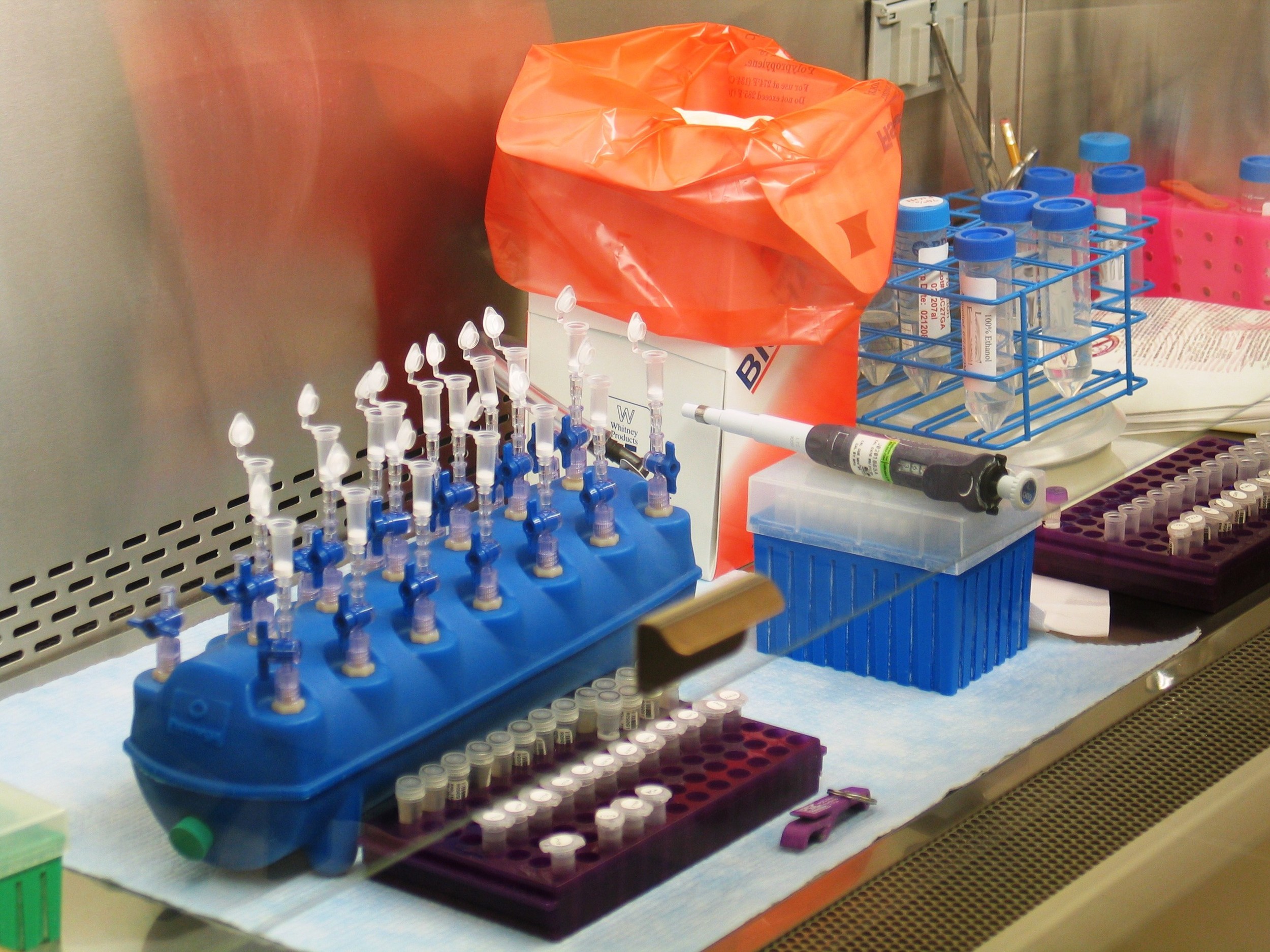 Picture 058 - Flu Samples1-Usable.jpg