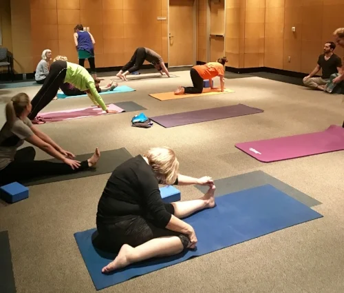 yoga group.jpg