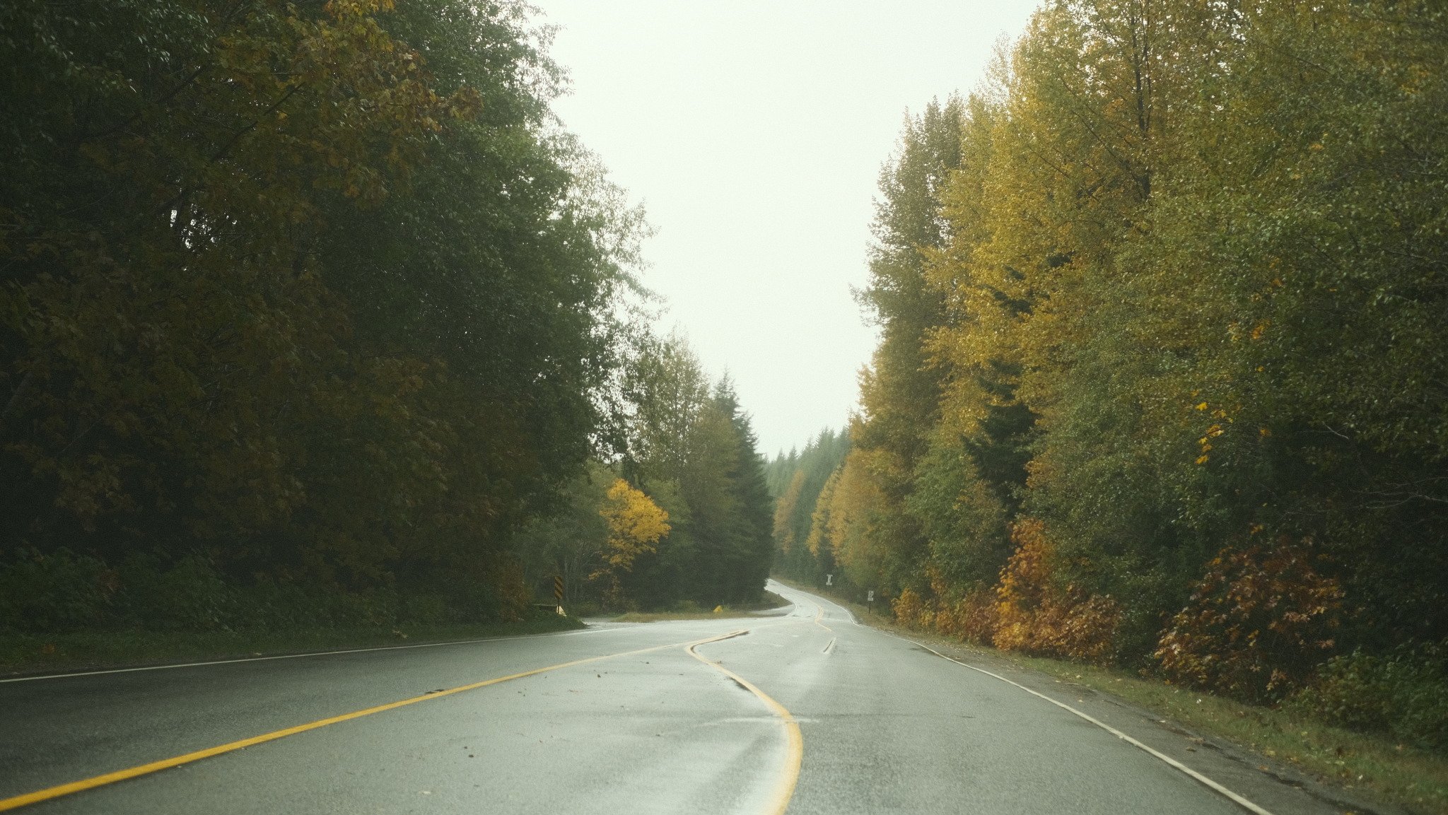 Outdoor_photography_banner - Manuel Te.jpg