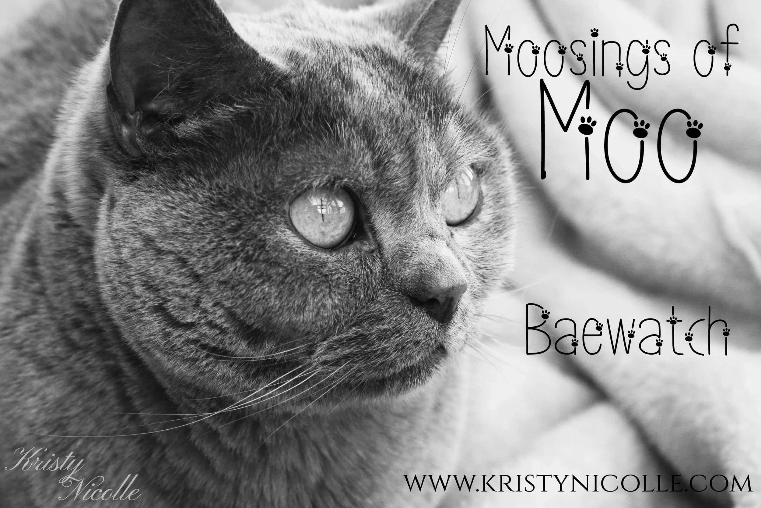 moosings of moo banner baewatch.jpg