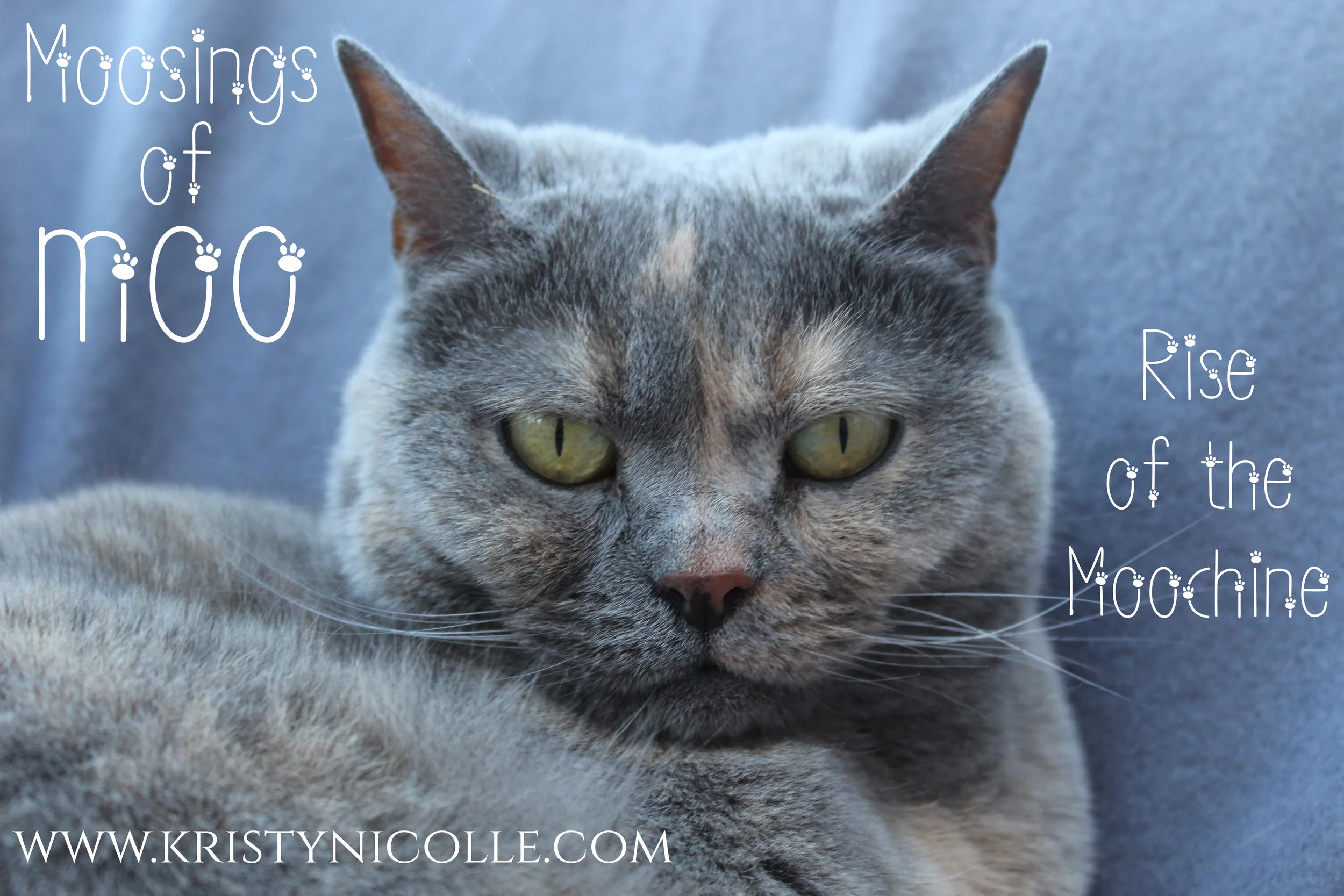 MOOSINGS OF MOOCHINE.jpg