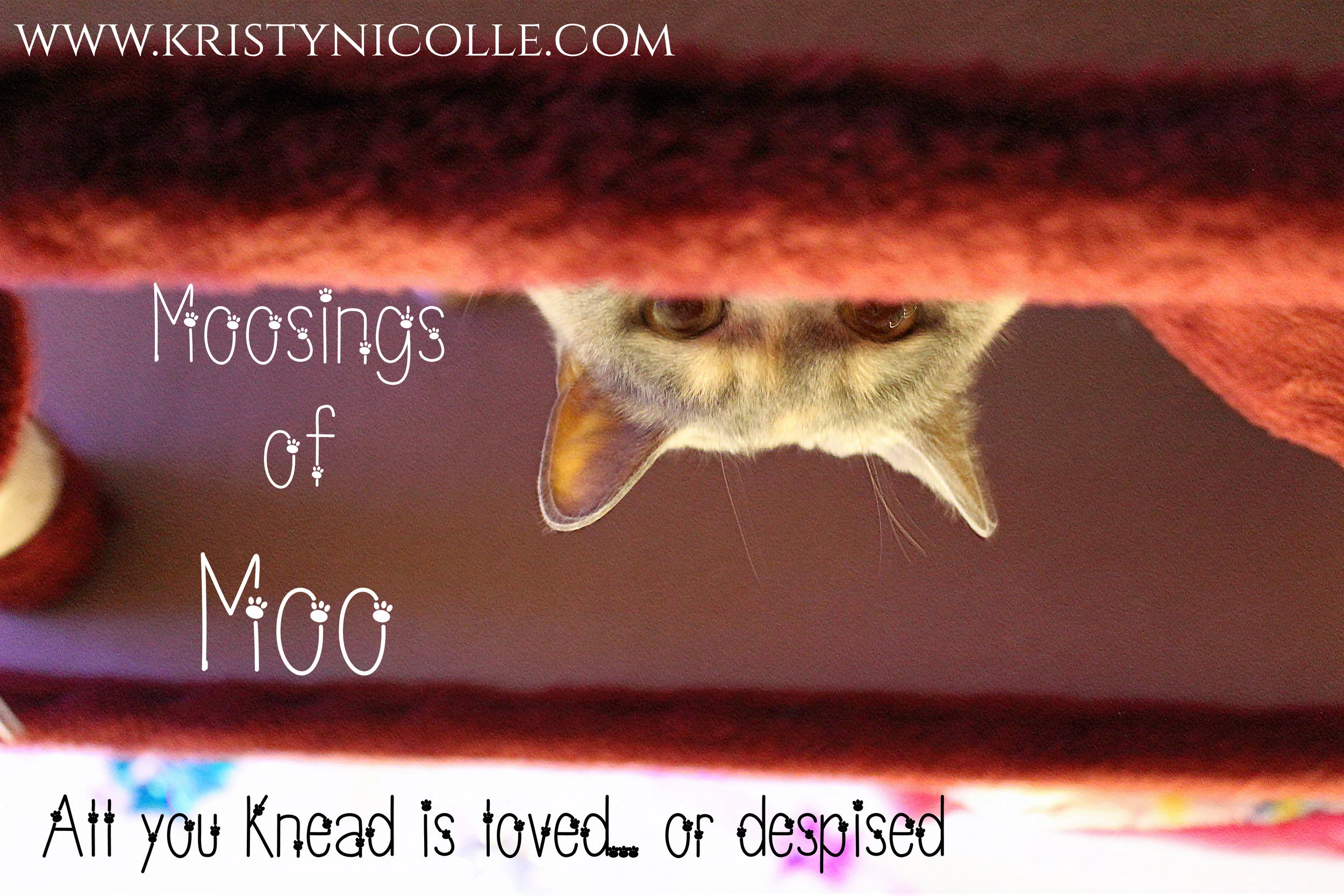 ALL YOU KNEAD IS LOVE.jpg