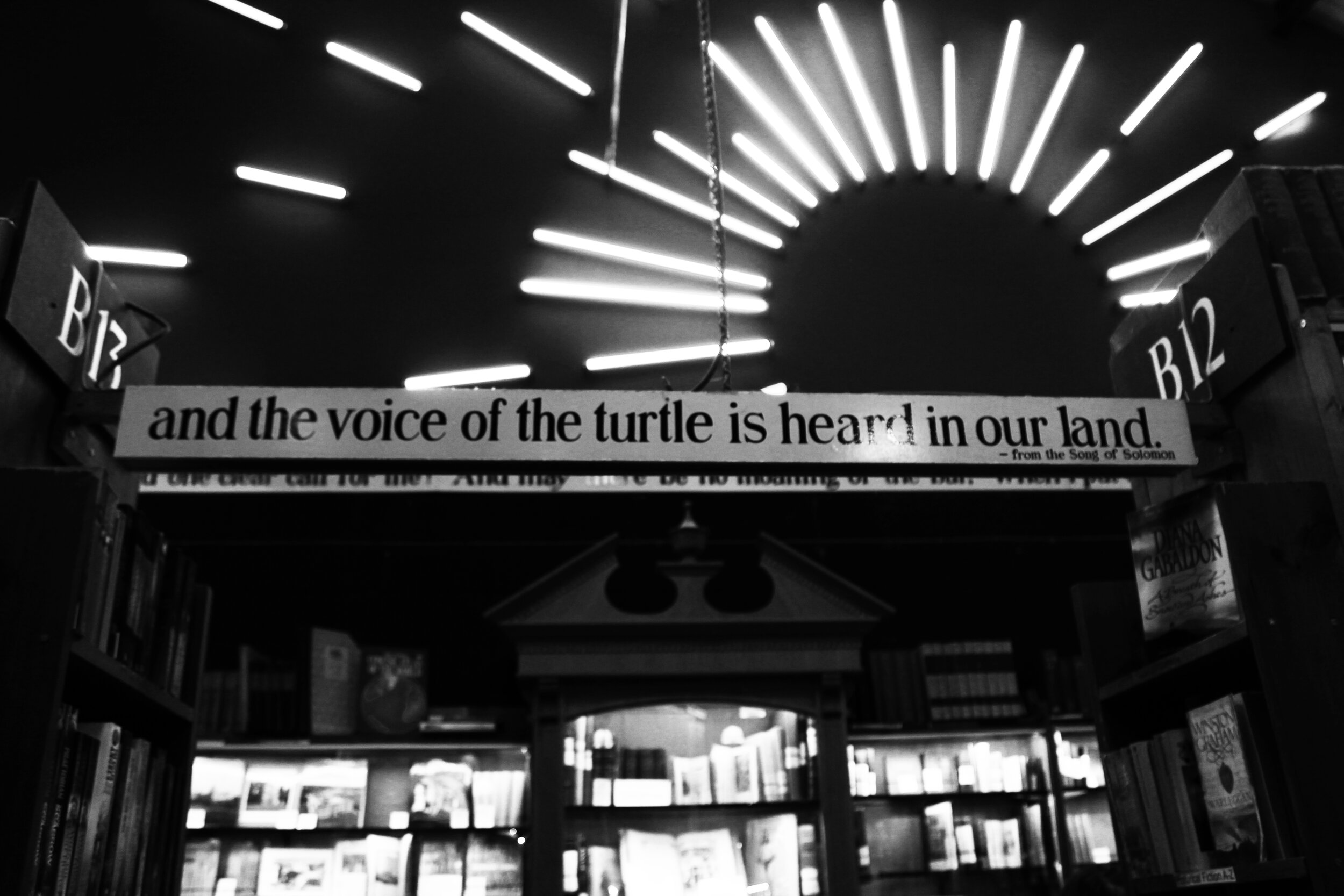 VOICE OF THE TURTLE.jpg