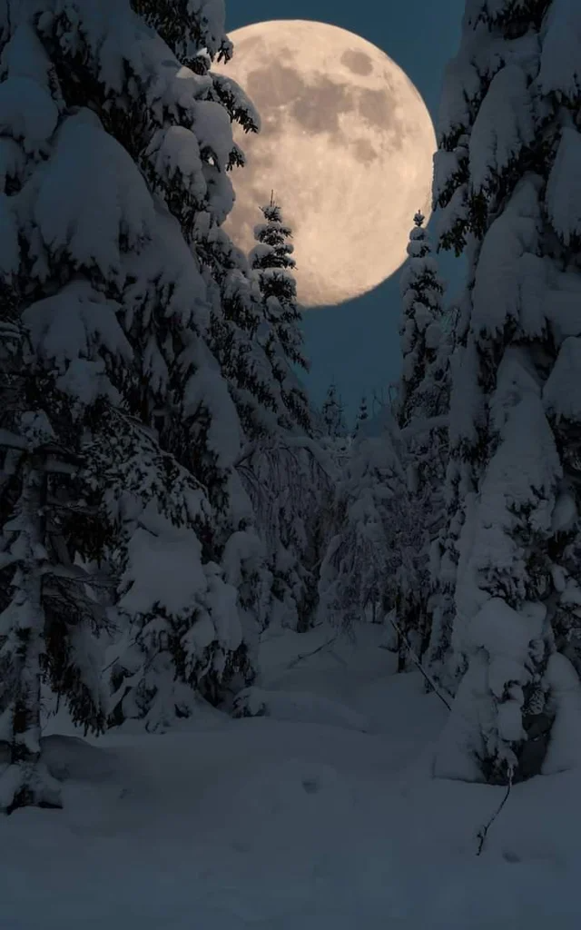 Super moon over a snowy forest.png