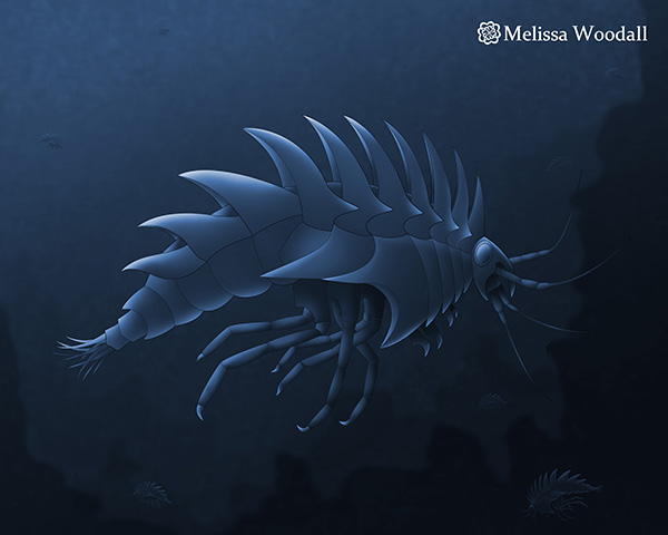 mechanical creature 72dpi.jpg