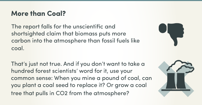Biomass_Infographic_07.png