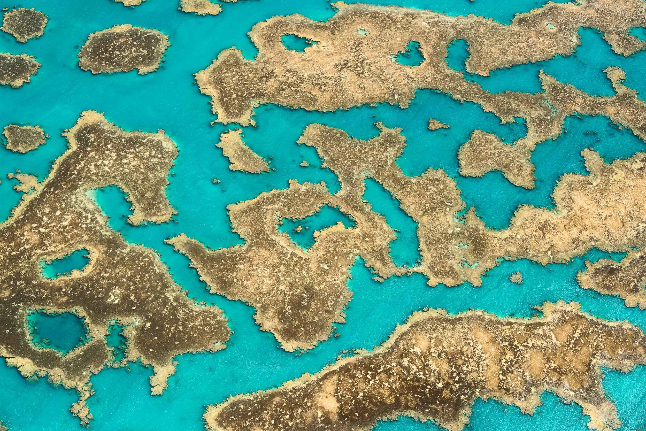20180303__UCS5409-Edit-Edit-2.jpg