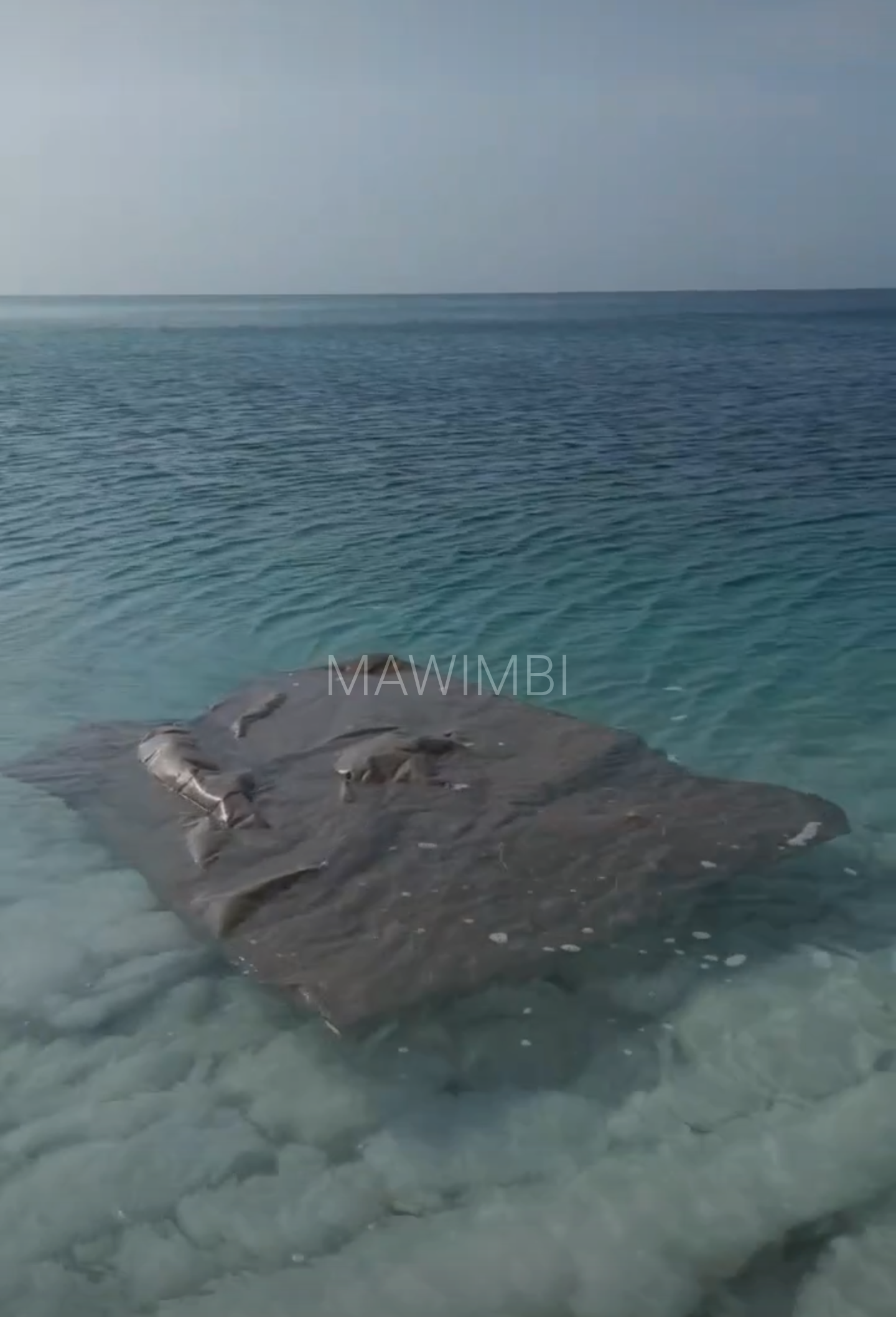  DEAD SEA, JORDAN 2023 