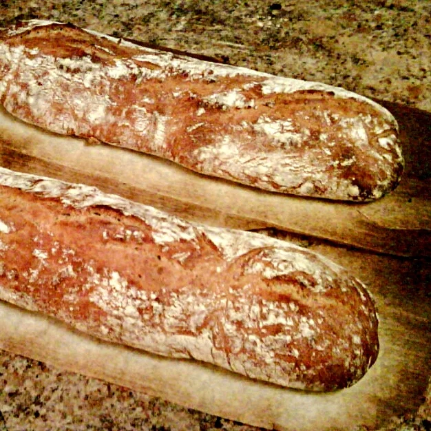 Whole Wheat Ciabatta Logs