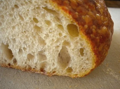 Sourdough Round Crumb Detail