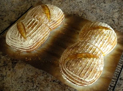 Sour Dough Bread Pairs
