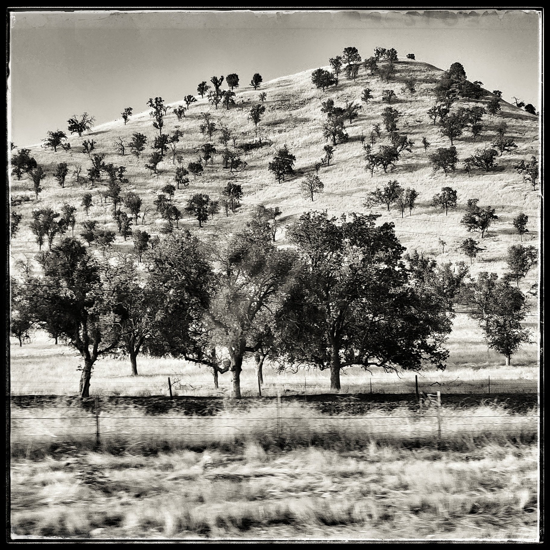 Bakersfield Hills No. 01