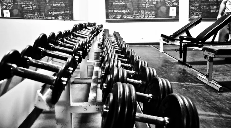 Education in the Weight Room