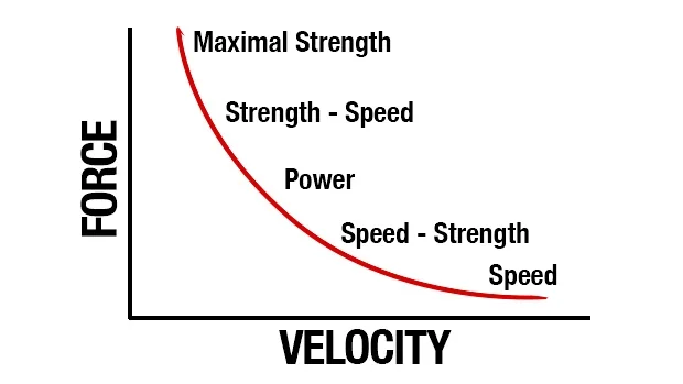  This is known as the force velocity curve and encompasses every quality of training. A properly periodized program will attack each of these qualities to allow an athlete advance becoming faster and stronger and In sports a faster and stronger kills.