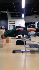 The GHD and Its Benefits For Hockey Players