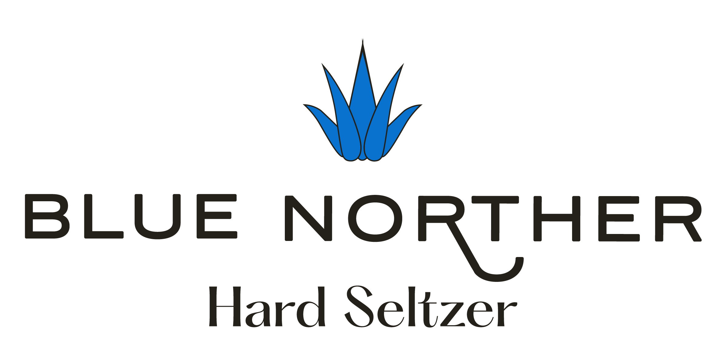 Blue Norther Logo-03 (2) (1).png