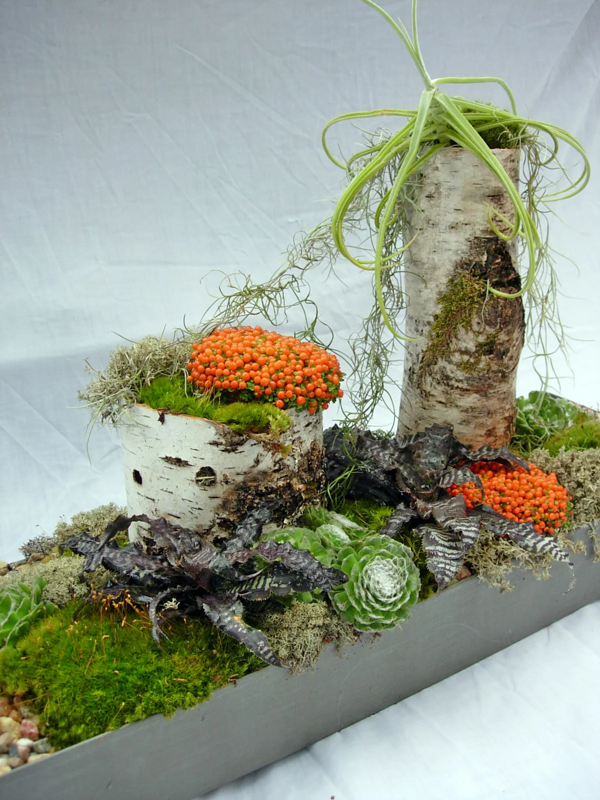 DSCN5970.JPG