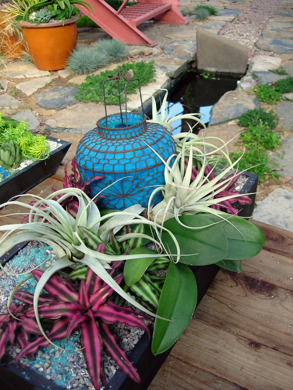 DSCN4254.JPG