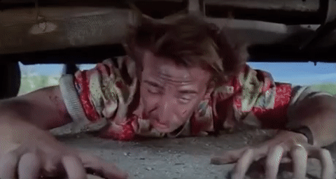 giphy (3).gif