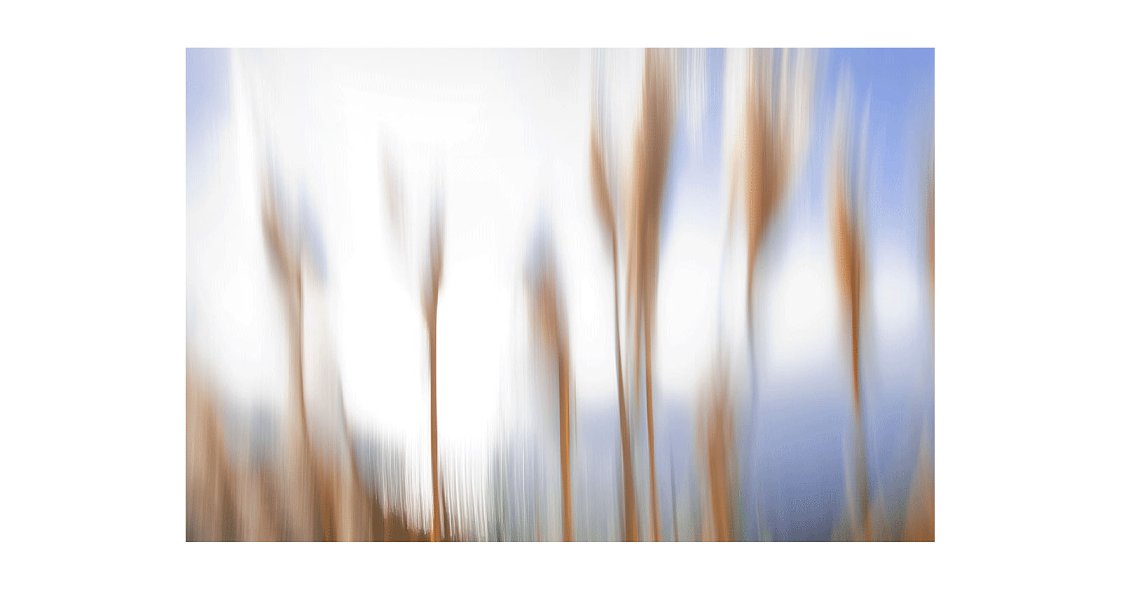 port2_0013_Layer-1-copy.jpg