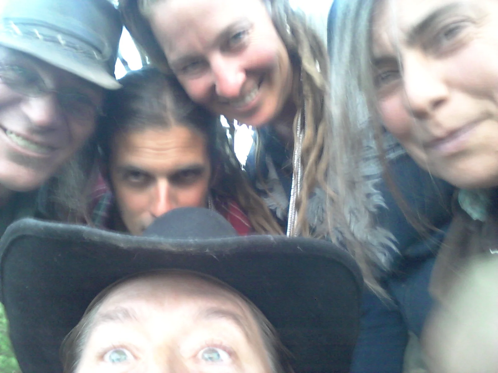 Twisted Root Collective