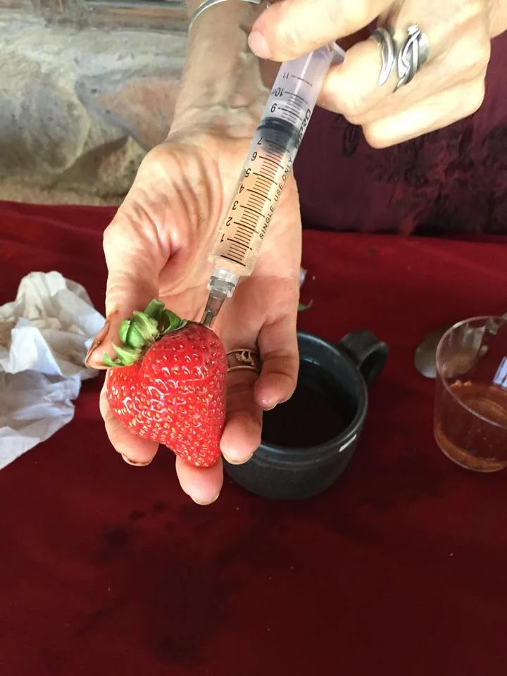 Strawberries 1.jpg