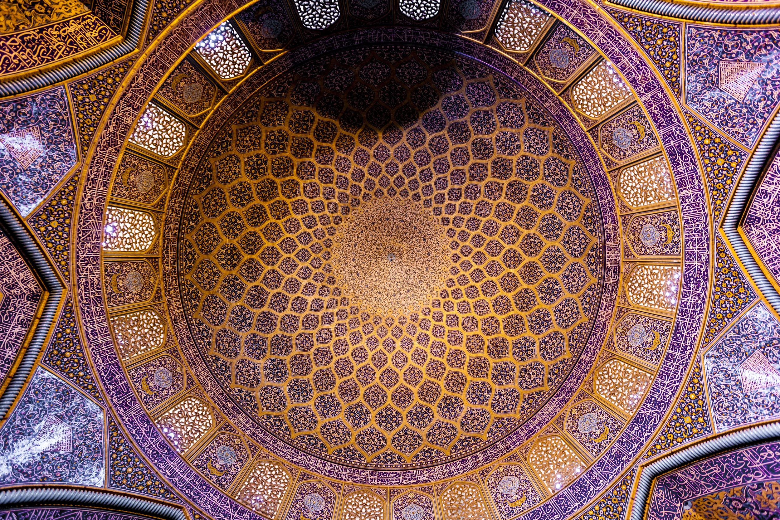 260N8487-1.jpg