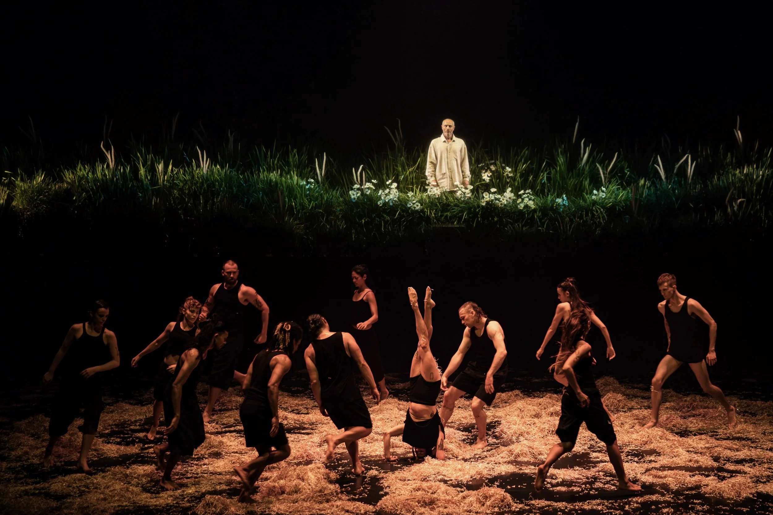 The Chronicles_Stephanie-Lake-Company_credit_Daniel Boud_203.jpeg