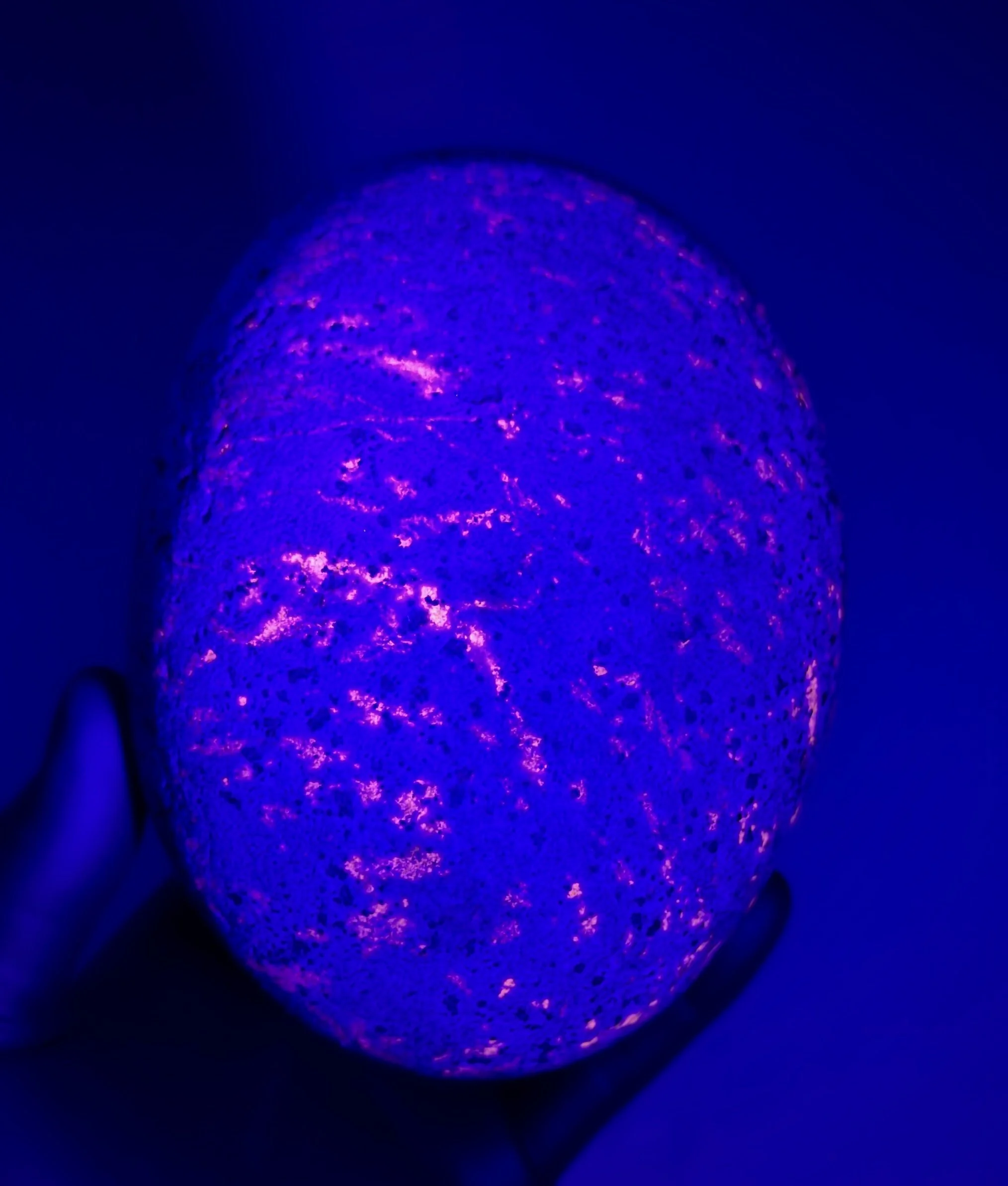 329256C4-2F37-492B-8718-E23093904779.jpeg