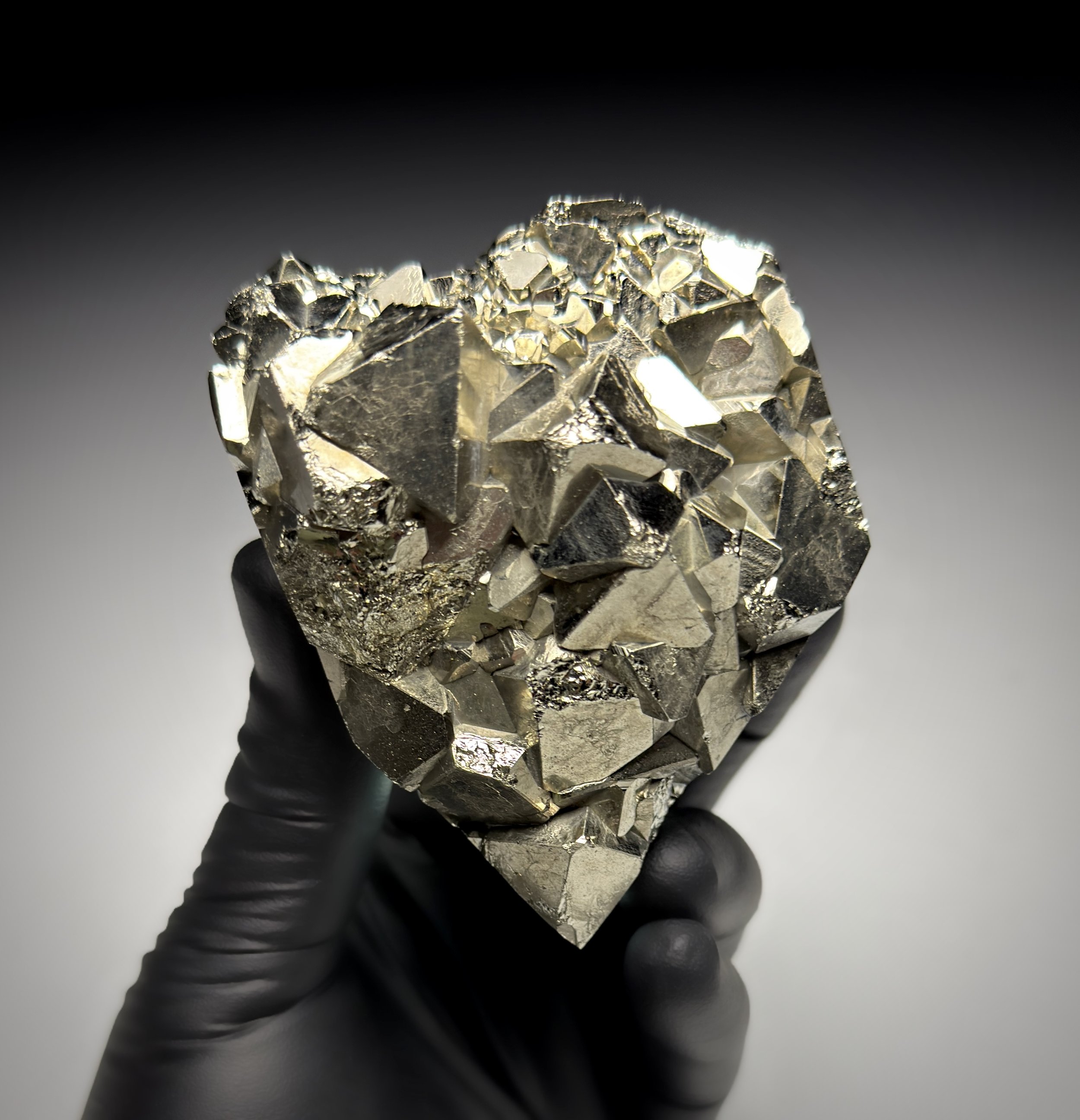 Facetune_12-03-2026-18-21-14 2.jpg