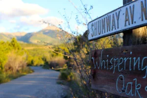 woaks-sign-300x200.jpg