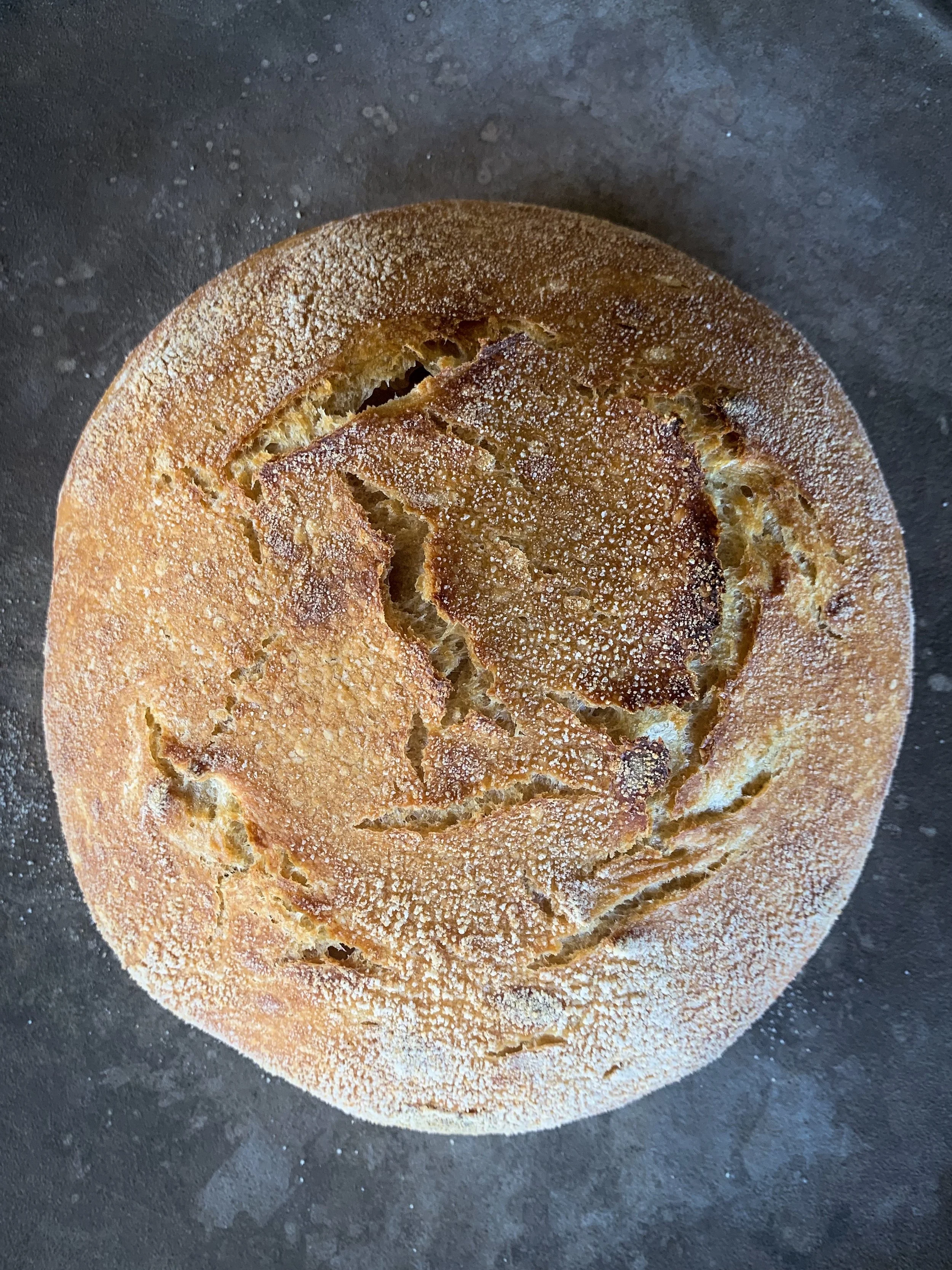 Just Eat The Bread: How Good Grains Benefit Gut Health 