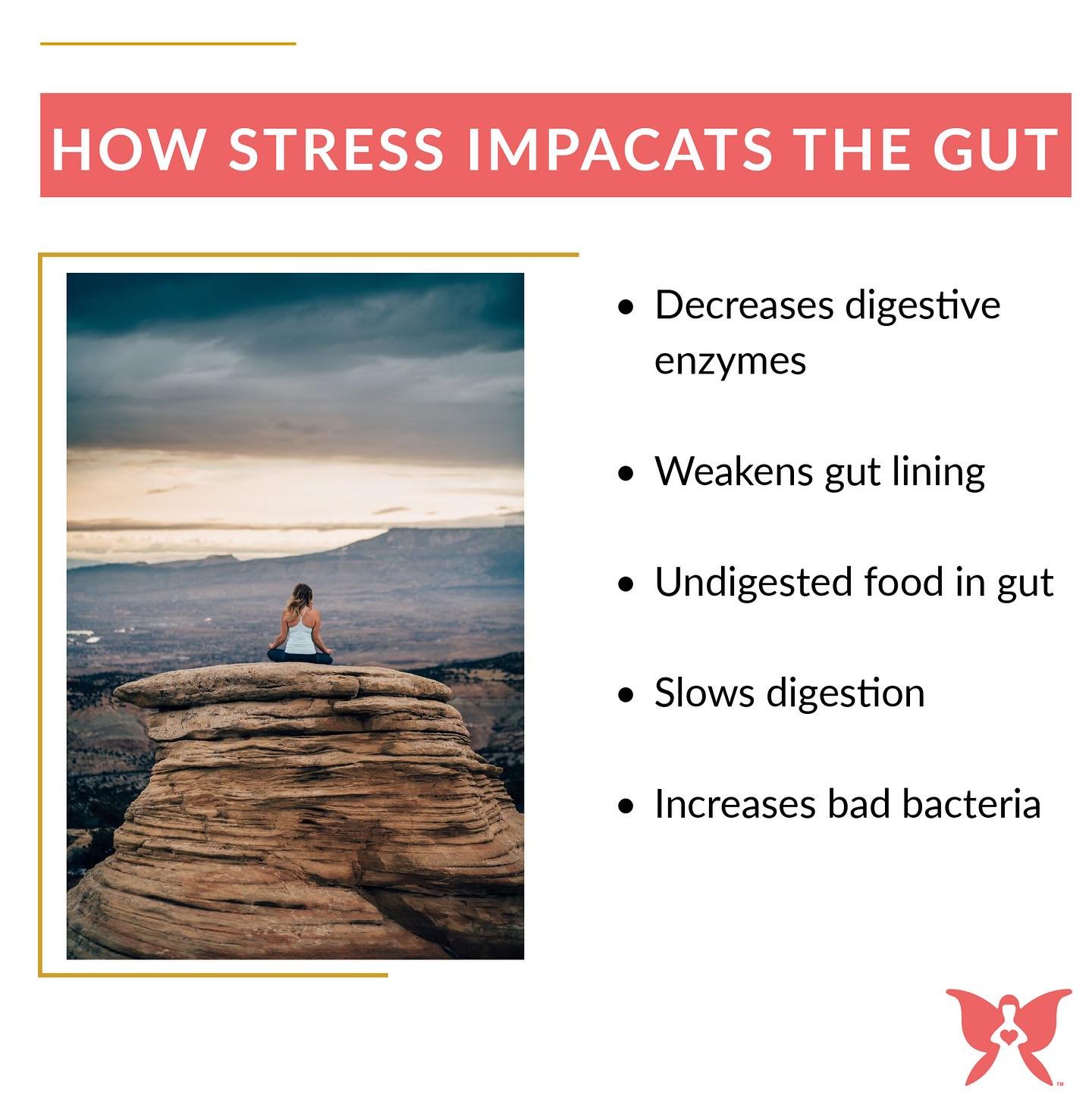 Clinical research states that stress can be more damaging to the gut than junk food! When working with clients, I often analyze a snapshot of their microbiome, and I will see clients with great diets but a compromised gut, and one of the most common 