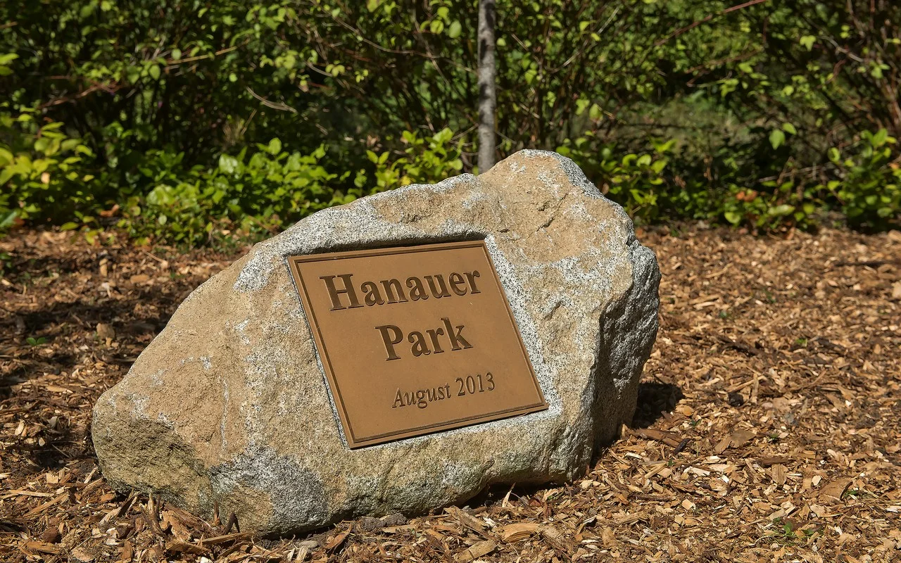 trail 2.jpg