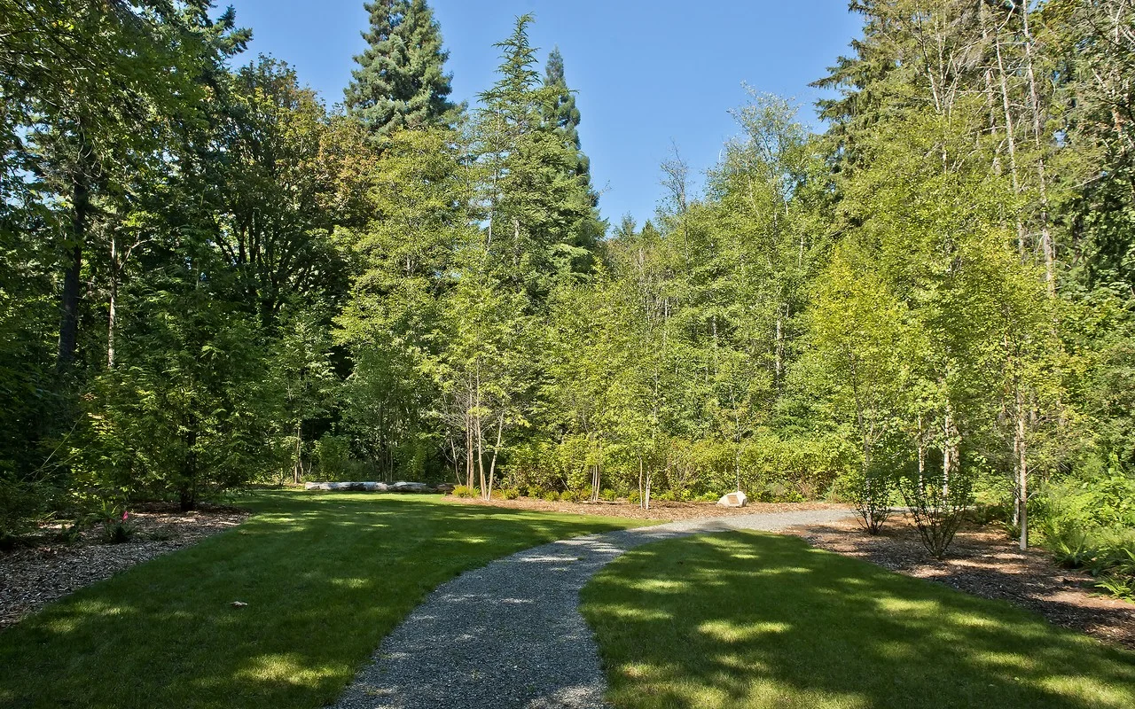 trail 4.jpg