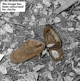 New Photo and Info for Unidentified Halton Region Woman, Found 1978