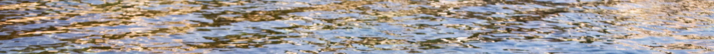 transition-stream.jpg