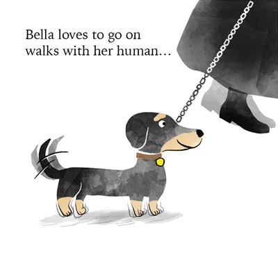 Bella_int3.jpg