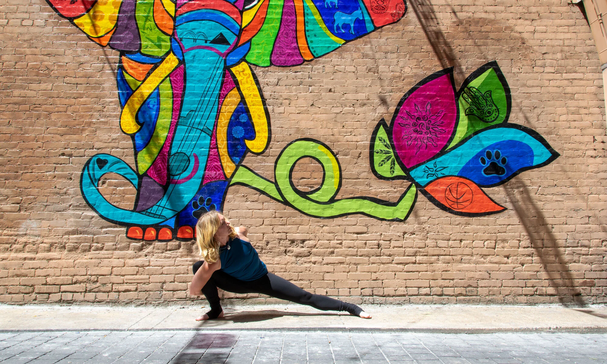 Brand New Beginners Yoga 6 Week Virtual Series — Downtown Yoga Memphis