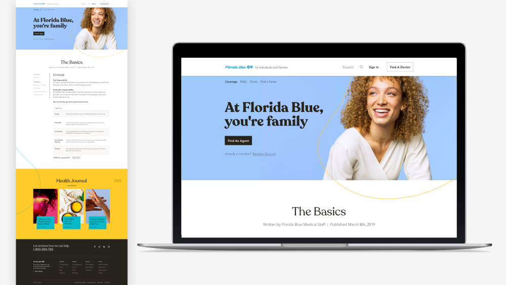 the-basics-florida-blue-portfolio.png