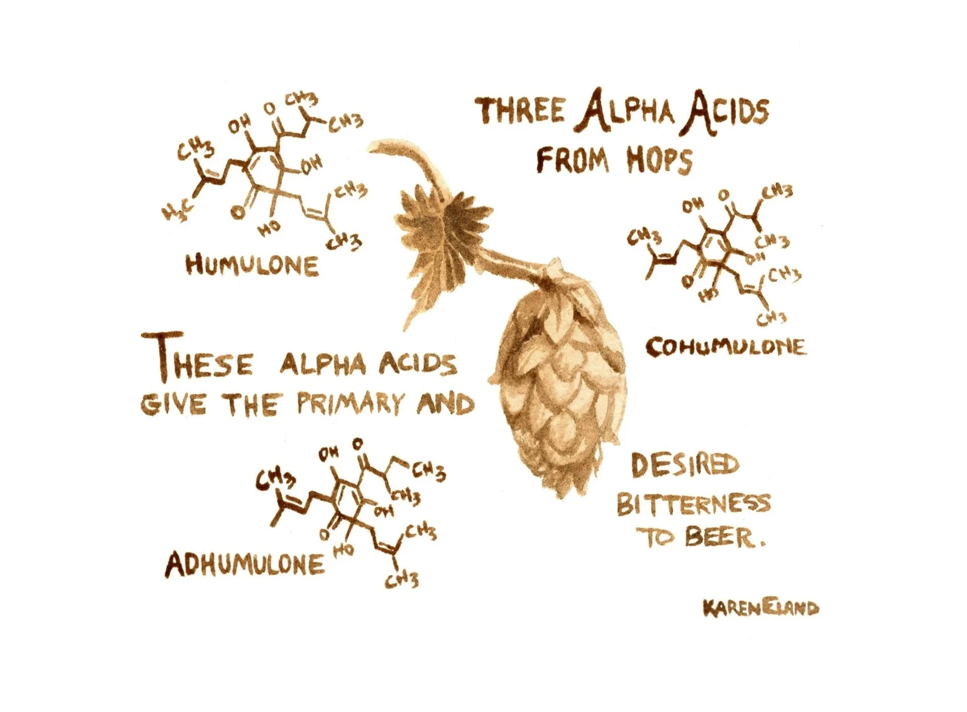 Are all chemicals bad