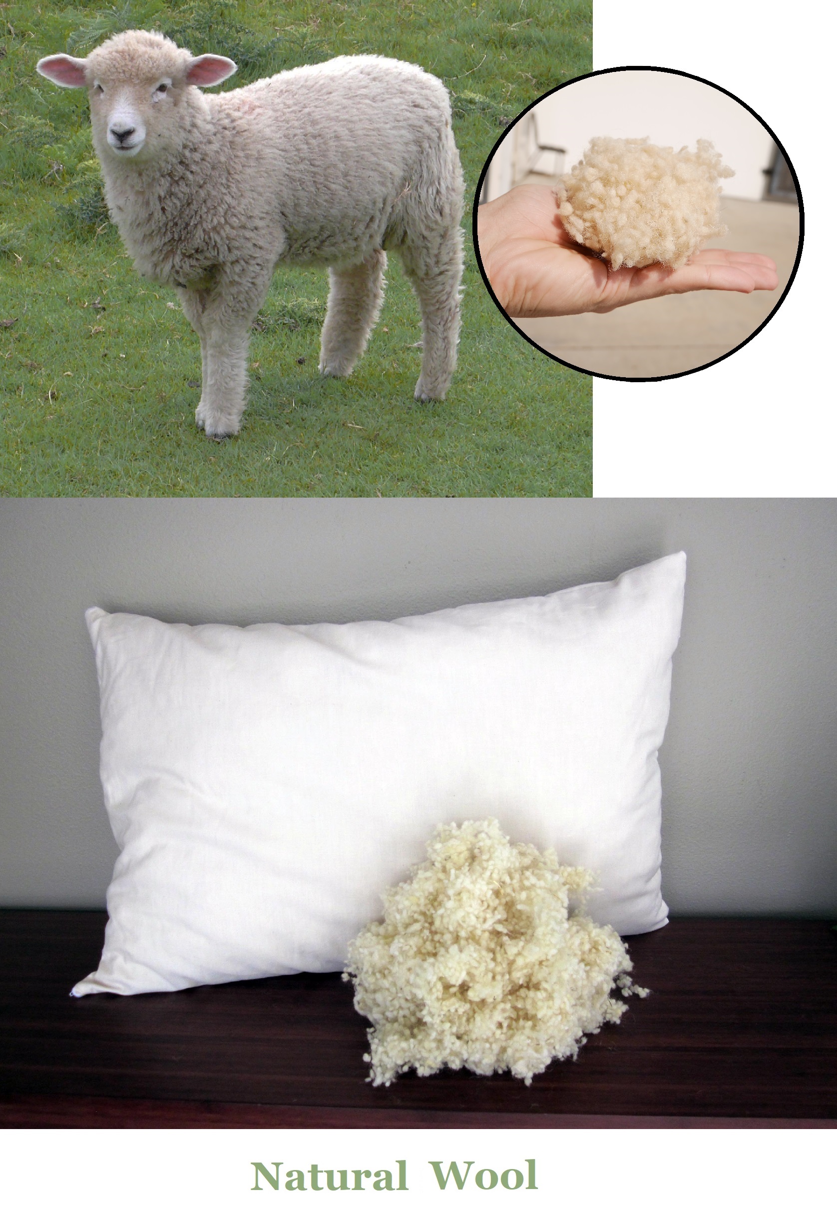 Wool Pillow — Berkeley Ergonomics Mattress