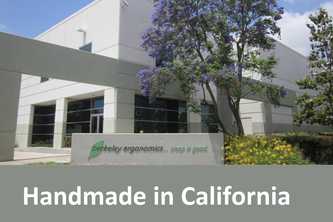 Berkeley Ergonomics Mattress